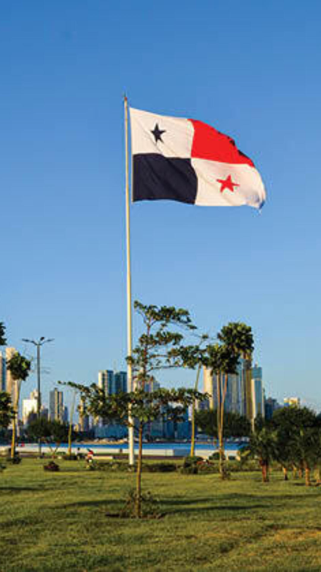 pty1